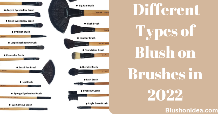 Different Types of Blush on Brushes in 2022
