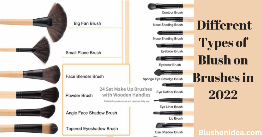 Different Types of Blush on Brushes in 2022