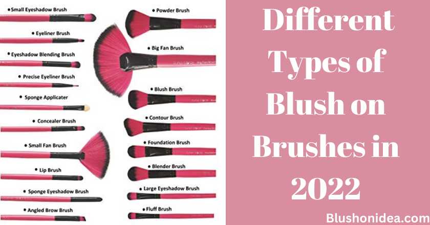 Different Types of Blush on Brushes in 2022
